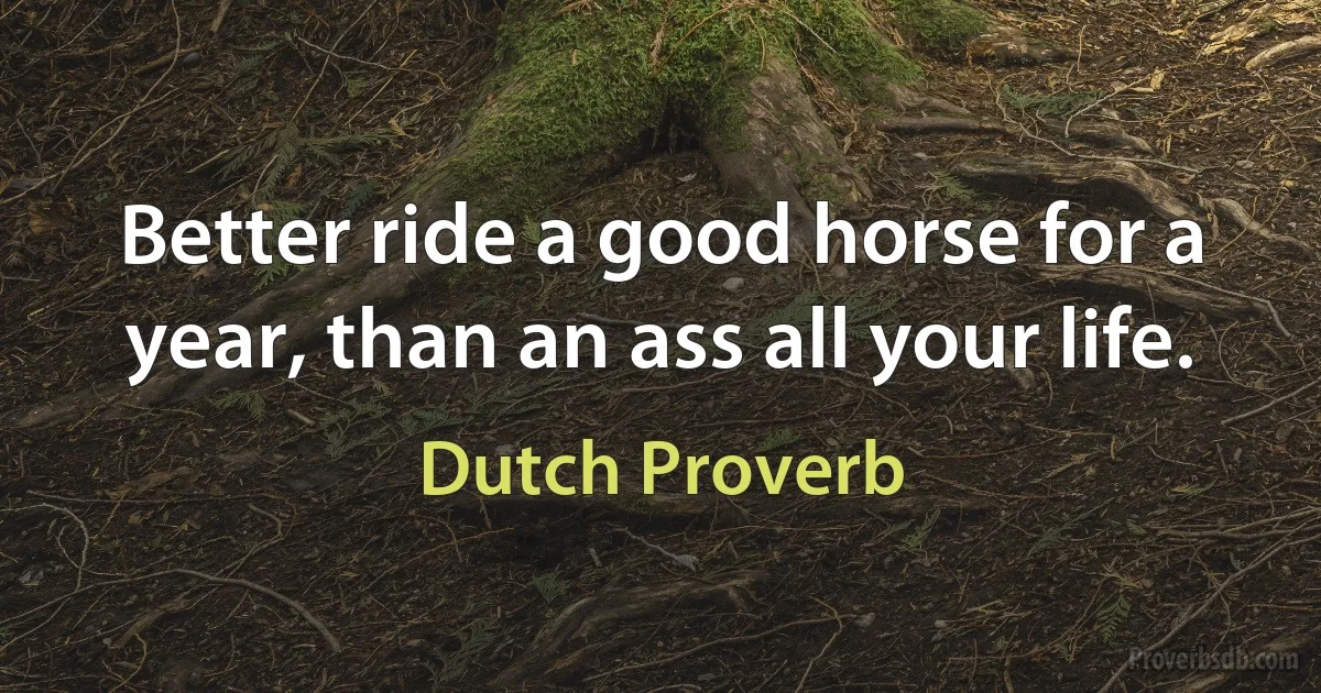 Better ride a good horse for a year, than an ass all your life. (Dutch Proverb)