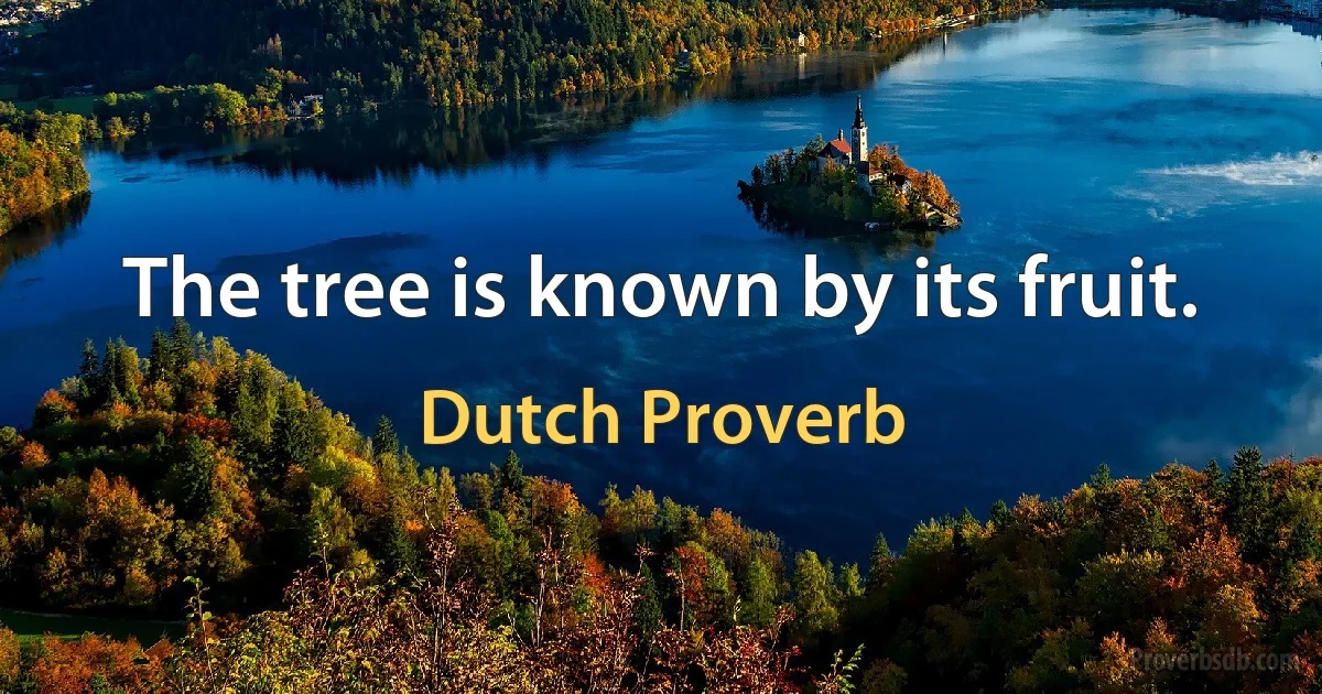 The tree is known by its fruit. (Dutch Proverb)