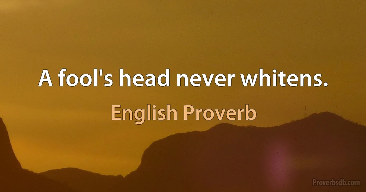 A fool's head never whitens. (English Proverb)