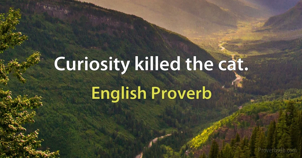 Curiosity killed the cat. (English Proverb)