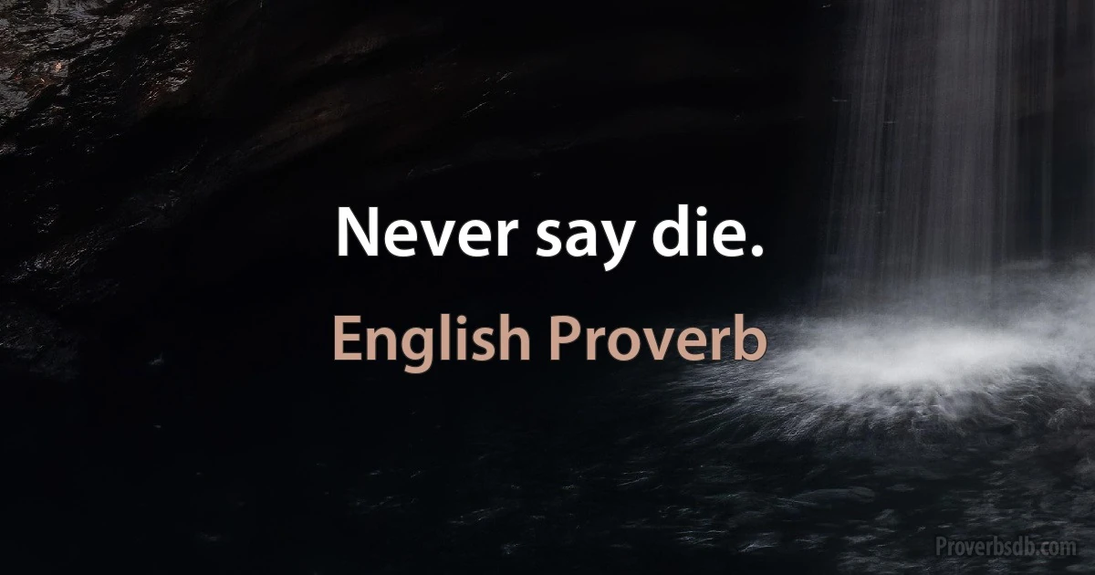 Never say die. (English Proverb)