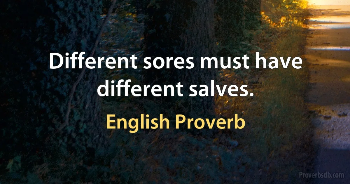 Different sores must have different salves. (English Proverb)