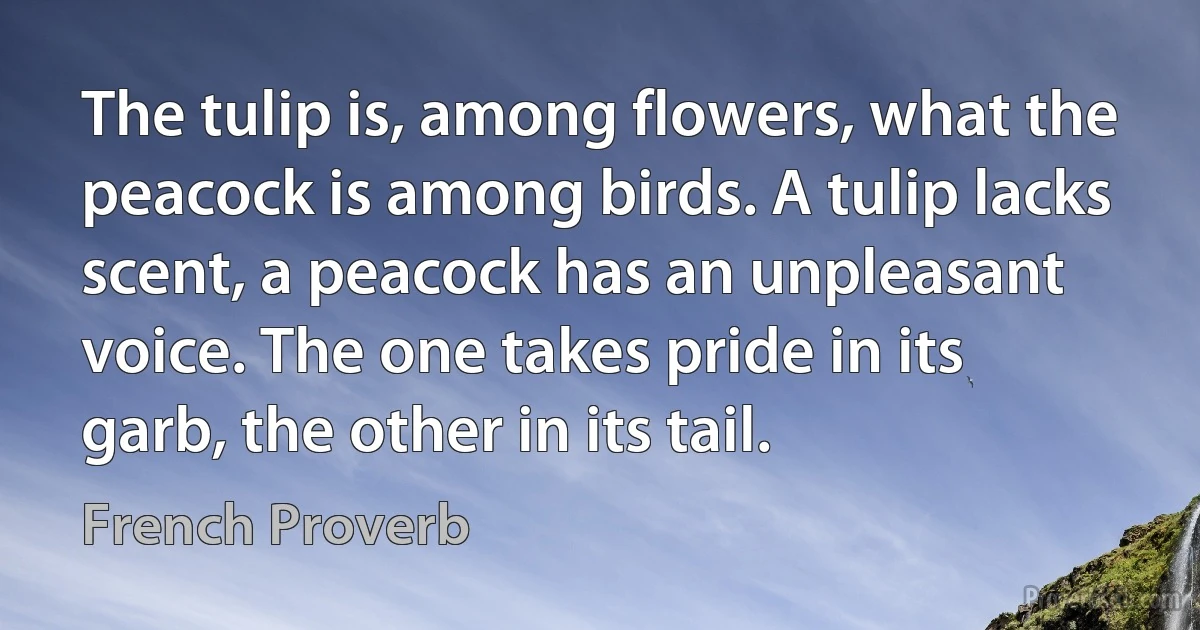 The tulip is, among flowers, what the peacock is among birds. A tulip lacks scent, a peacock has an unpleasant voice. The one takes pride in its garb, the other in its tail. (French Proverb)