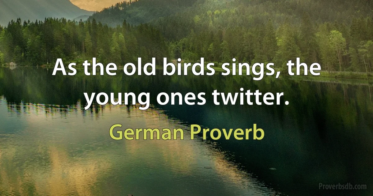 As the old birds sings, the young ones twitter. (German Proverb)