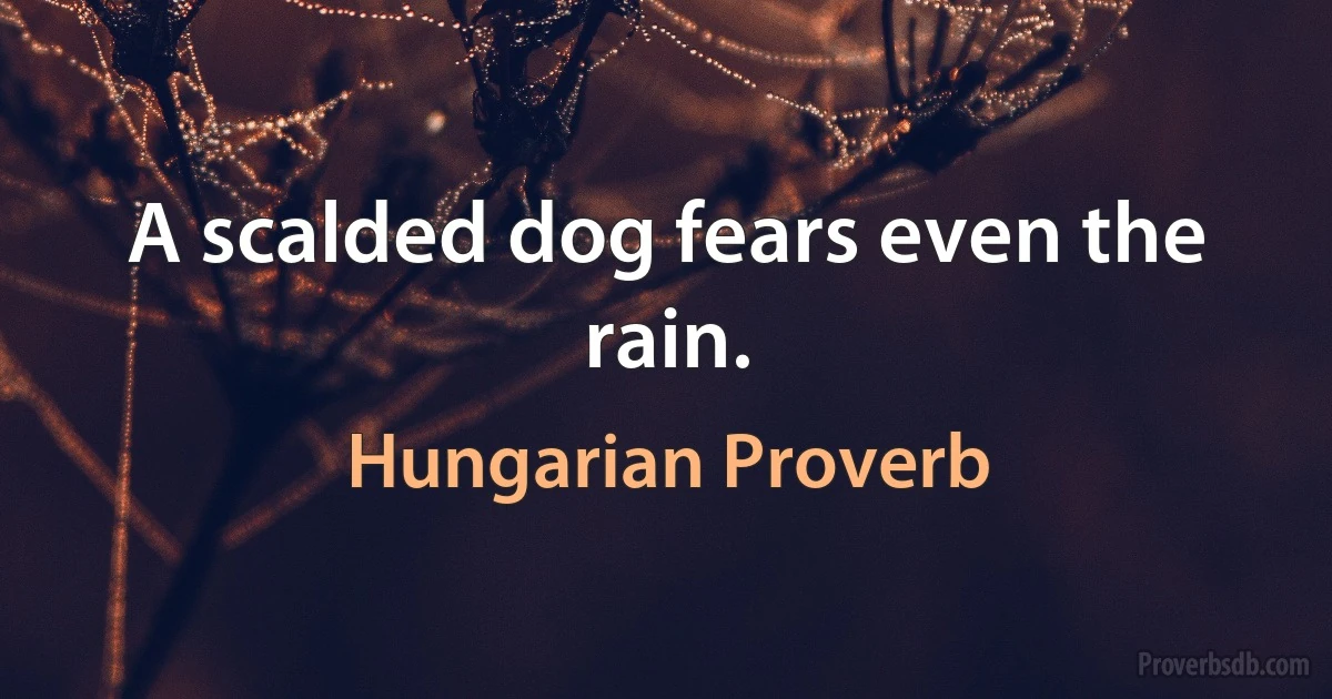 A scalded dog fears even the rain. (Hungarian Proverb)