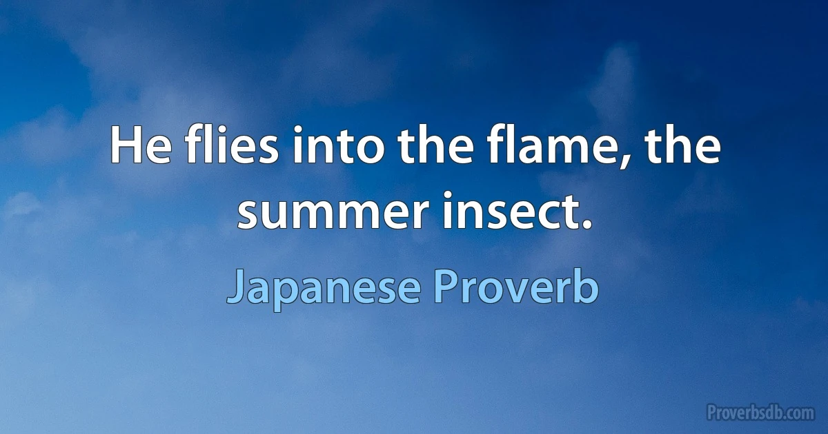 He flies into the flame, the summer insect. (Japanese Proverb)