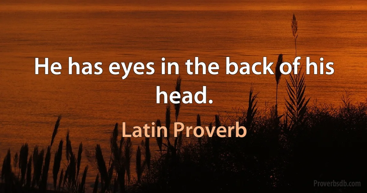 He has eyes in the back of his head. (Latin Proverb)