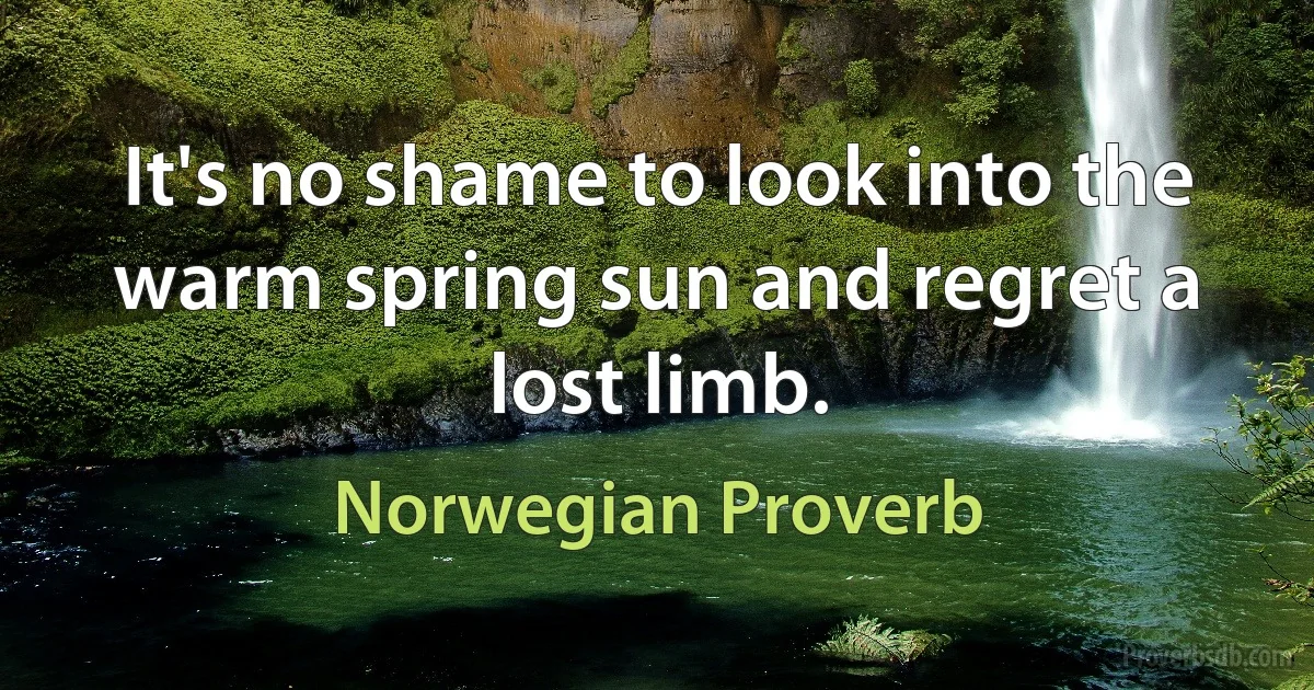 It's no shame to look into the warm spring sun and regret a lost limb. (Norwegian Proverb)