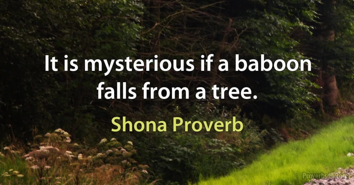 It is mysterious if a baboon falls from a tree. (Shona Proverb)