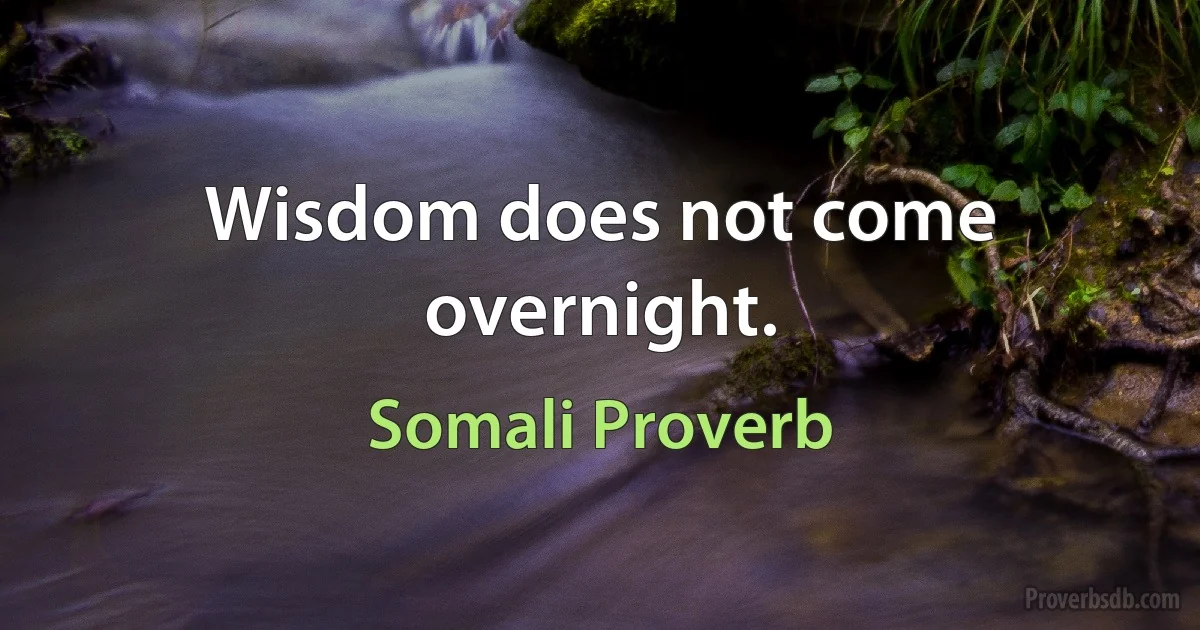 Wisdom does not come overnight. (Somali Proverb)