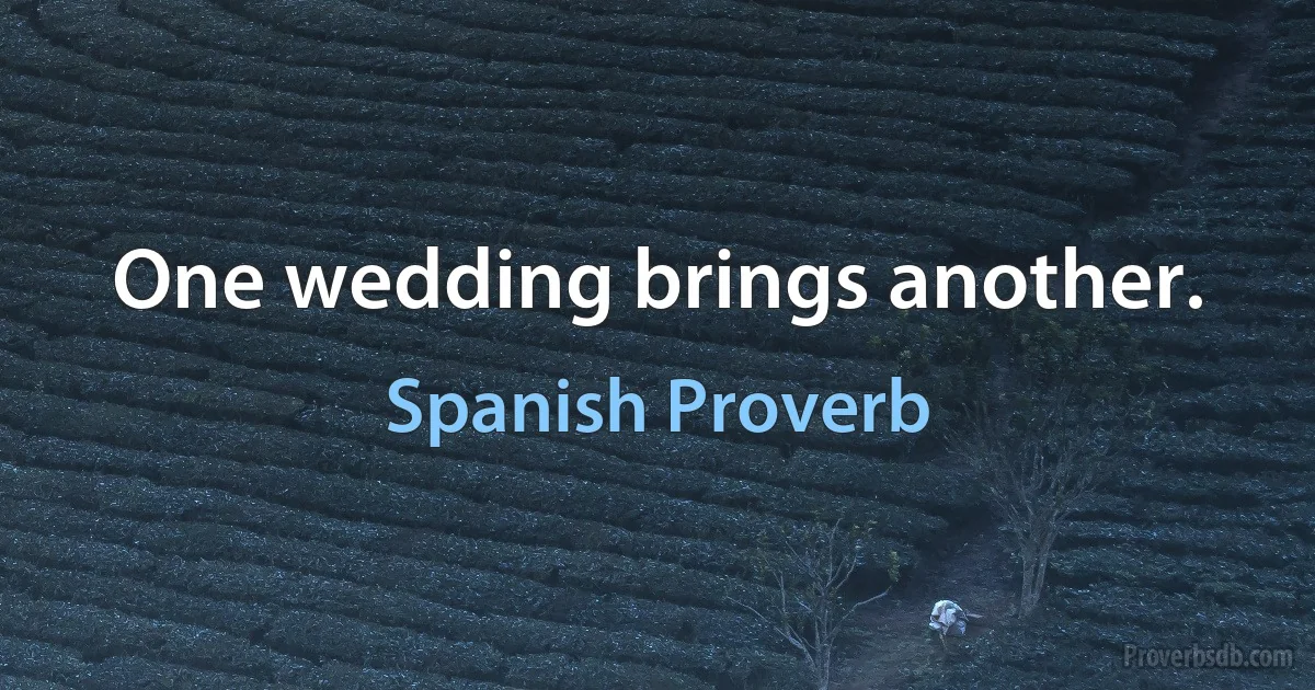 One wedding brings another. (Spanish Proverb)