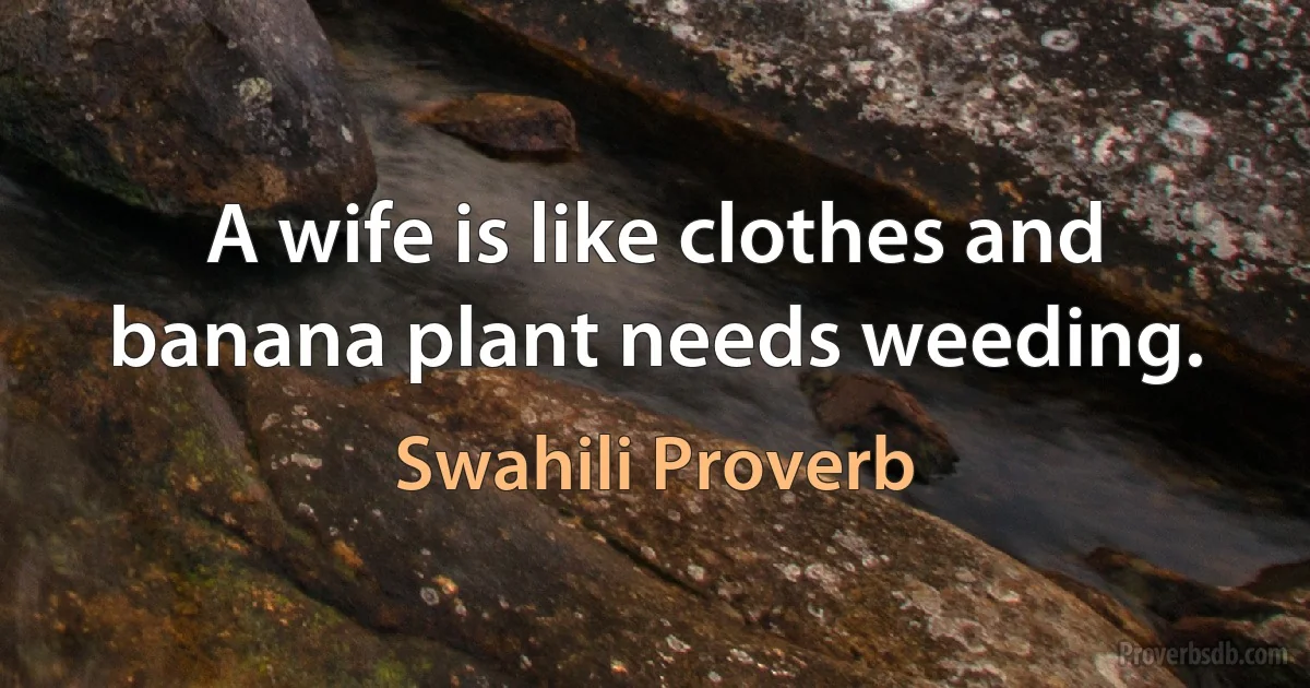 A wife is like clothes and banana plant needs weeding. (Swahili Proverb)