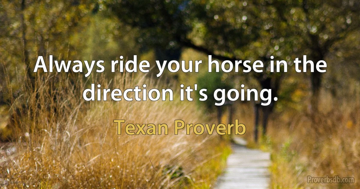 Always ride your horse in the direction it's going. (Texan Proverb)