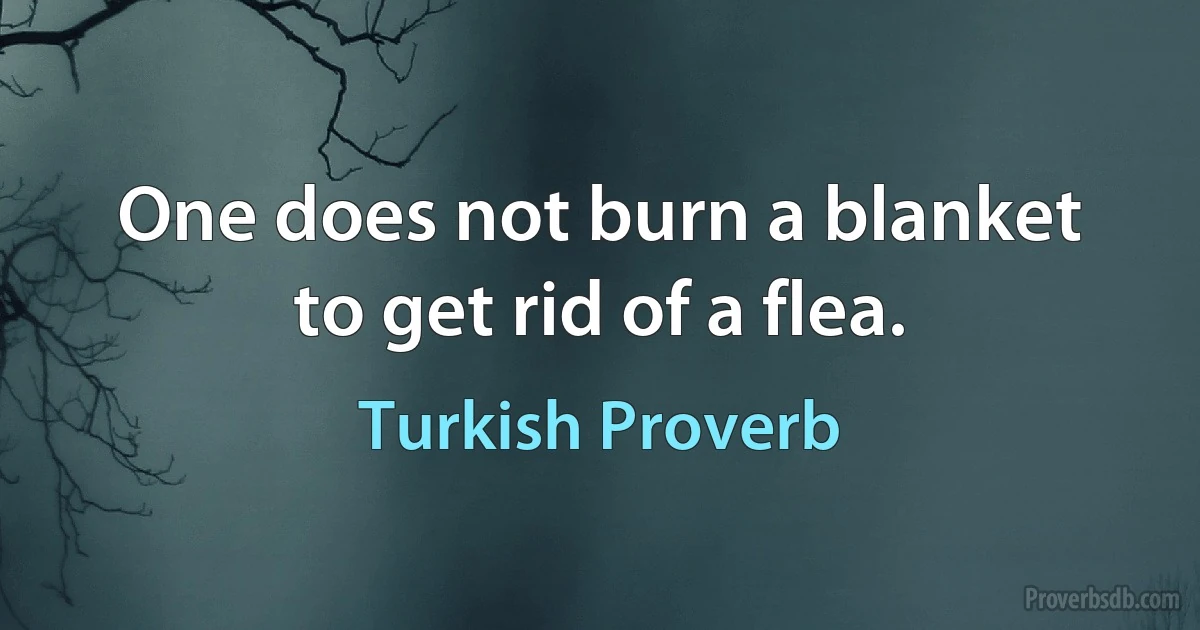 One does not burn a blanket to get rid of a flea. (Turkish Proverb)