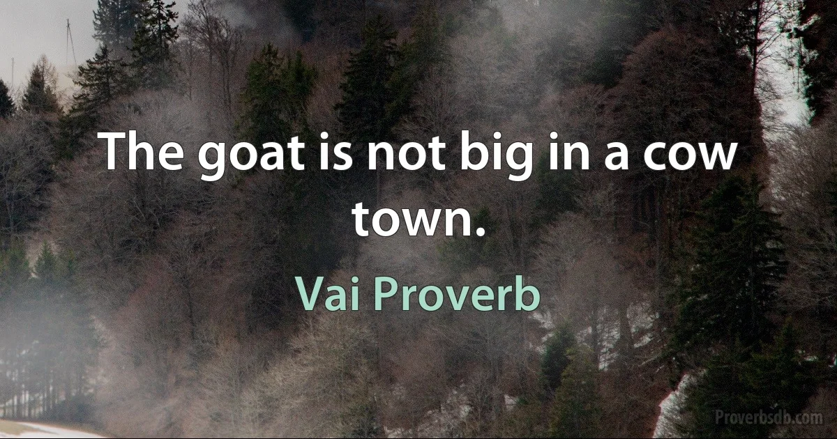 The goat is not big in a cow town. (Vai Proverb)