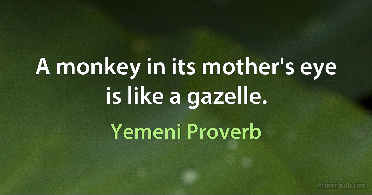 A monkey in its mother's eye is like a gazelle. (Yemeni Proverb)