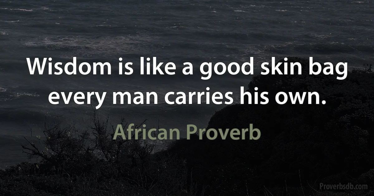 Wisdom is like a good skin bag every man carries his own. (African Proverb)