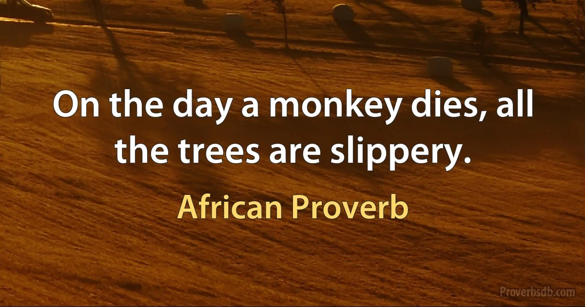 On the day a monkey dies, all the trees are slippery. (African Proverb)