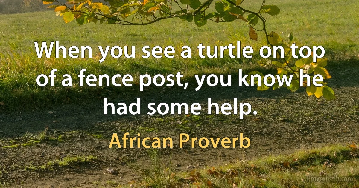 When you see a turtle on top of a fence post, you know he had some help. (African Proverb)