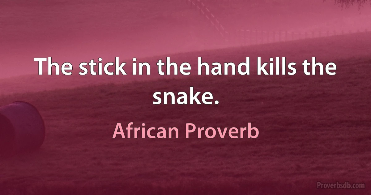 The stick in the hand kills the snake. (African Proverb)