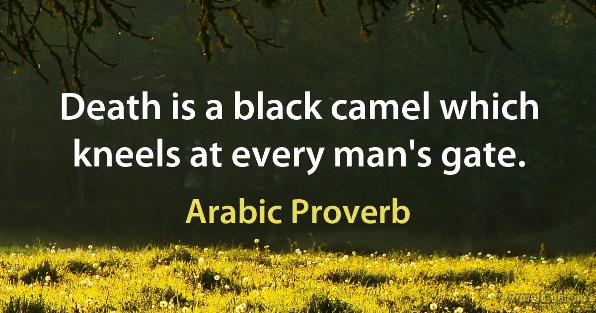 Death is a black camel which kneels at every man's gate. (Arabic Proverb)