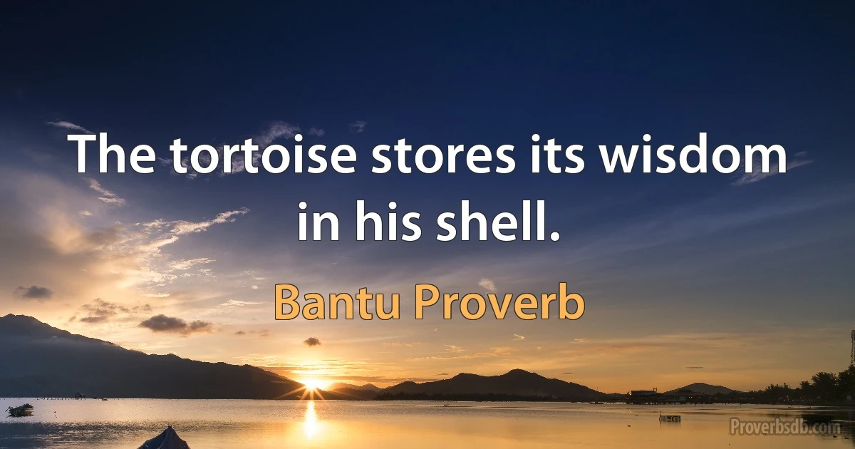 The tortoise stores its wisdom in his shell. (Bantu Proverb)