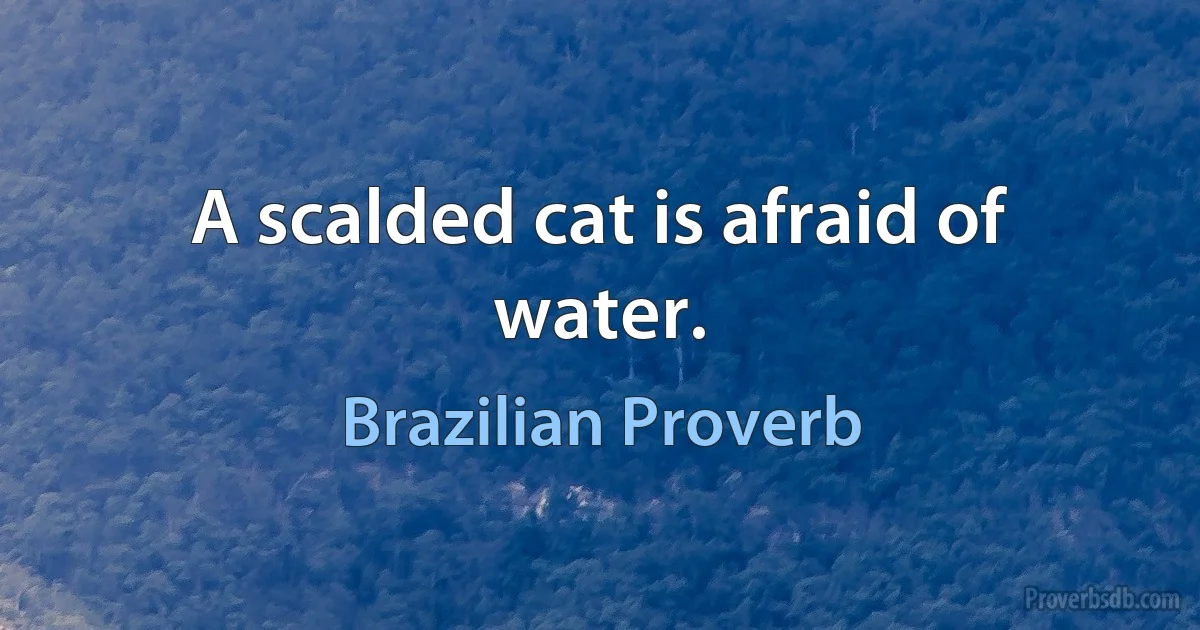 A scalded cat is afraid of water. (Brazilian Proverb)