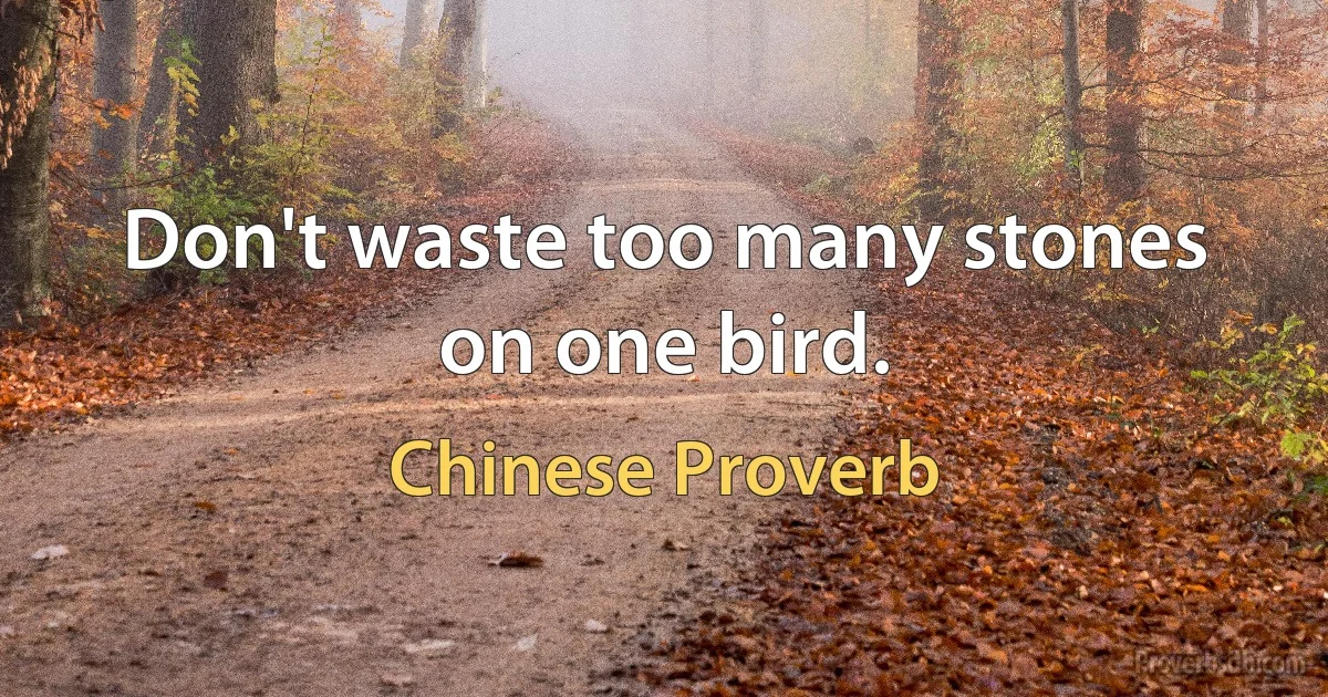 Don't waste too many stones on one bird. (Chinese Proverb)