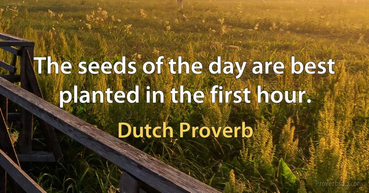 The seeds of the day are best planted in the first hour. (Dutch Proverb)