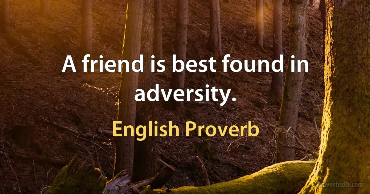 A friend is best found in adversity. (English Proverb)