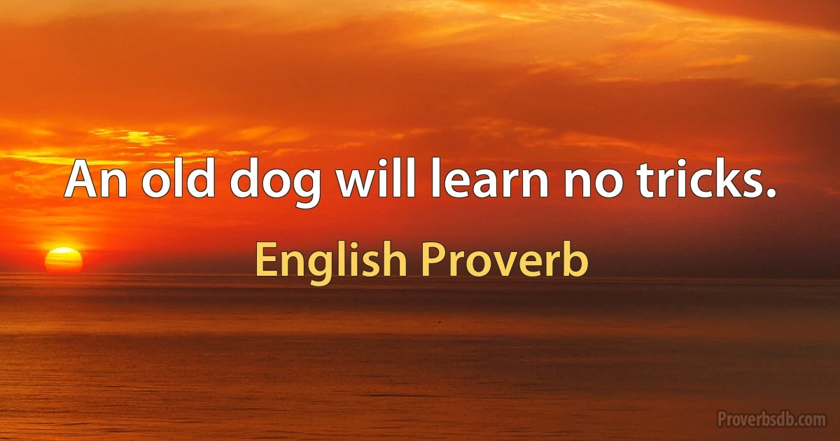 An old dog will learn no tricks. (English Proverb)