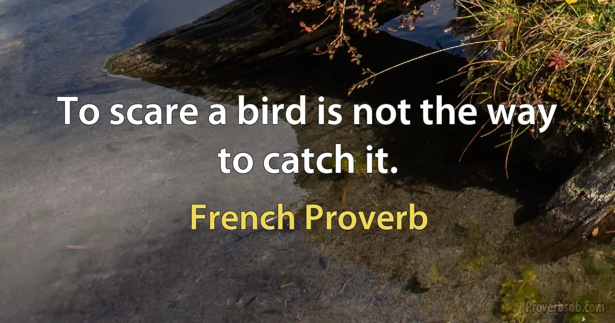 To scare a bird is not the way to catch it. (French Proverb)