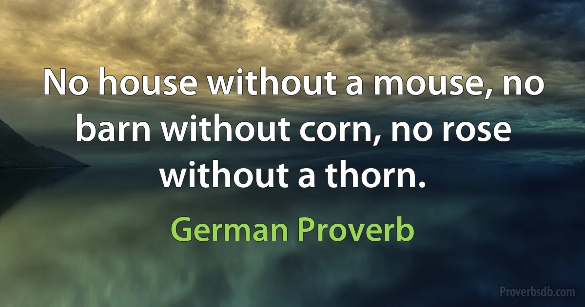 No house without a mouse, no barn without corn, no rose without a thorn. (German Proverb)