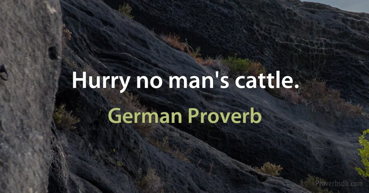 Hurry no man's cattle. (German Proverb)