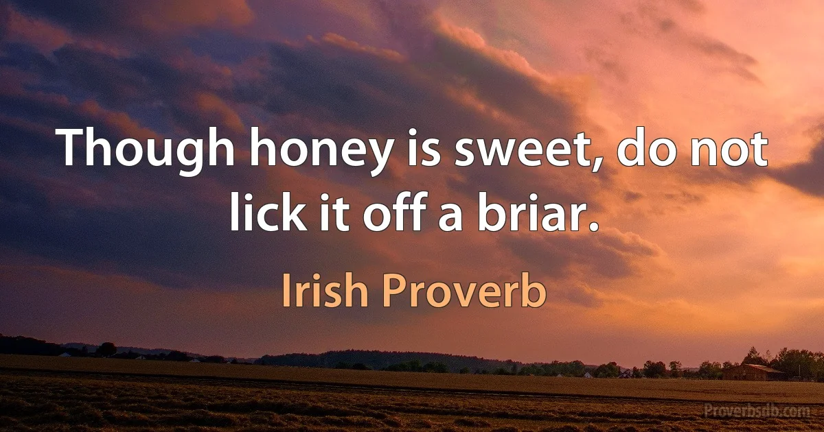 Though honey is sweet, do not lick it off a briar. (Irish Proverb)