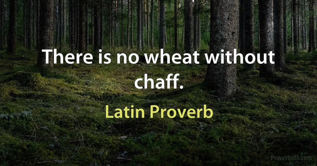 There is no wheat without chaff. (Latin Proverb)