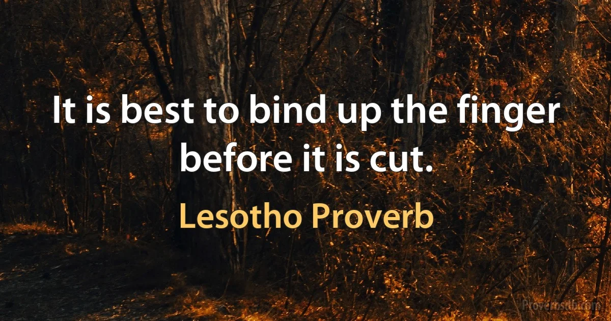 It is best to bind up the finger before it is cut. (Lesotho Proverb)