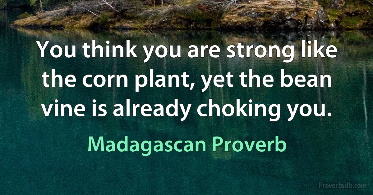 You think you are strong like the corn plant, yet the bean vine is already choking you. (Madagascan Proverb)