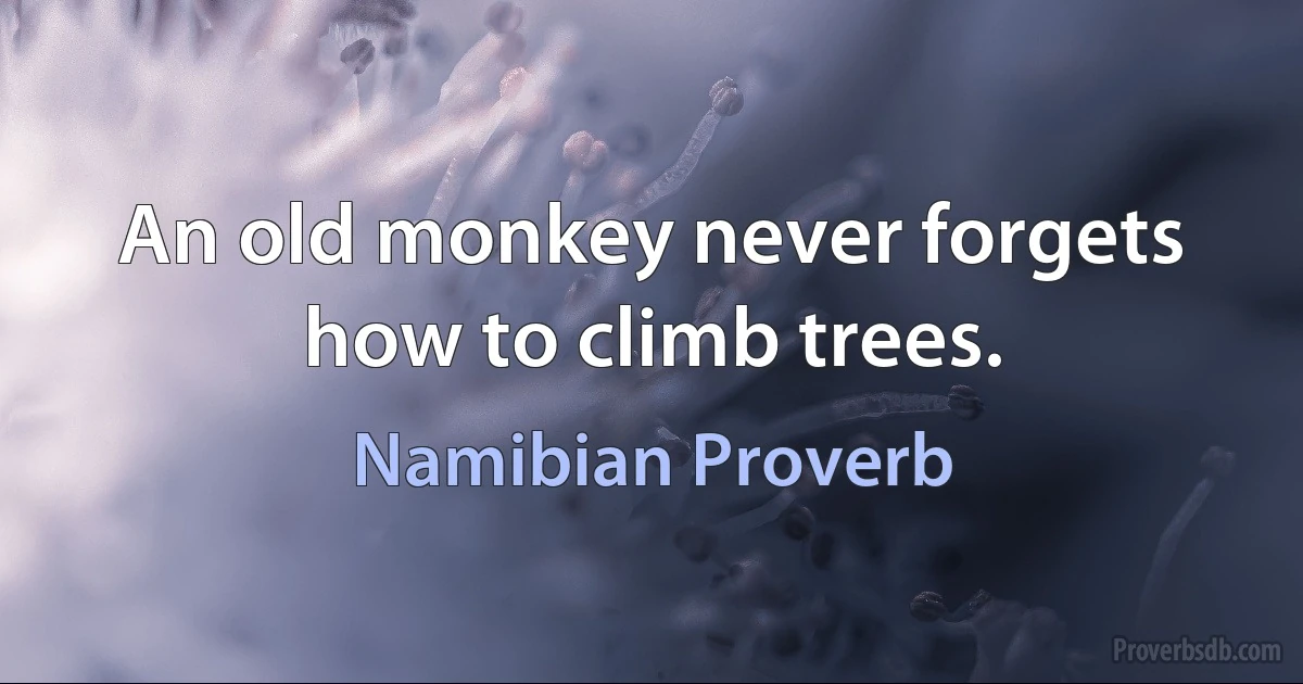 An old monkey never forgets how to climb trees. (Namibian Proverb)