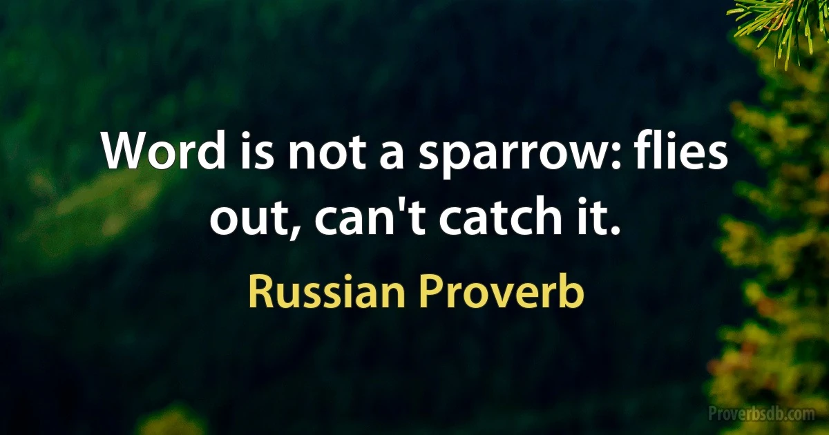 Word is not a sparrow: flies out, can't catch it. (Russian Proverb)