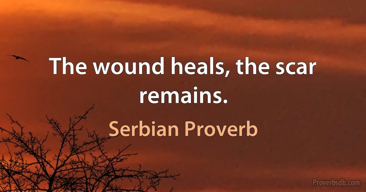 The wound heals, the scar remains. (Serbian Proverb)