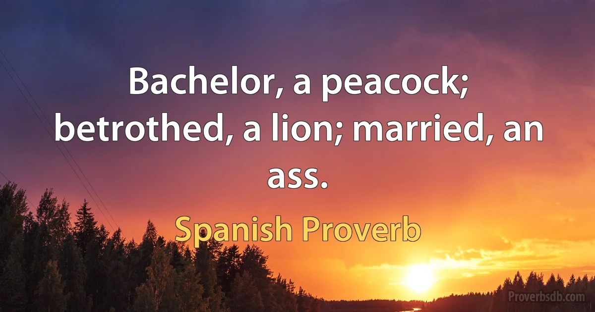 Bachelor, a peacock; betrothed, a lion; married, an ass. (Spanish Proverb)