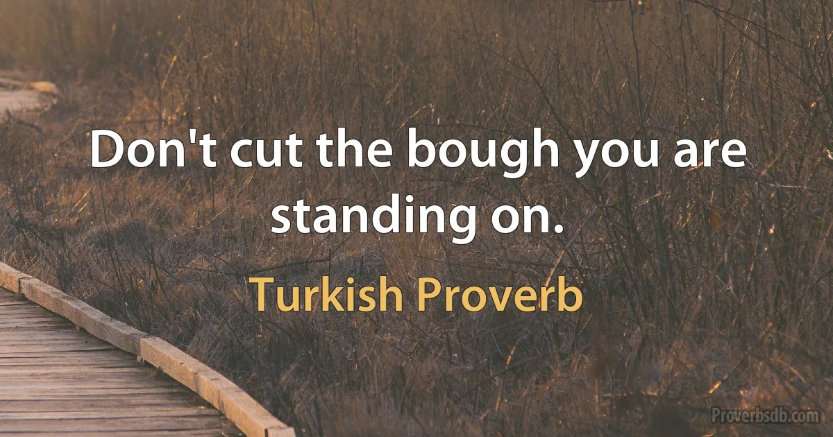 Don't cut the bough you are standing on. (Turkish Proverb)