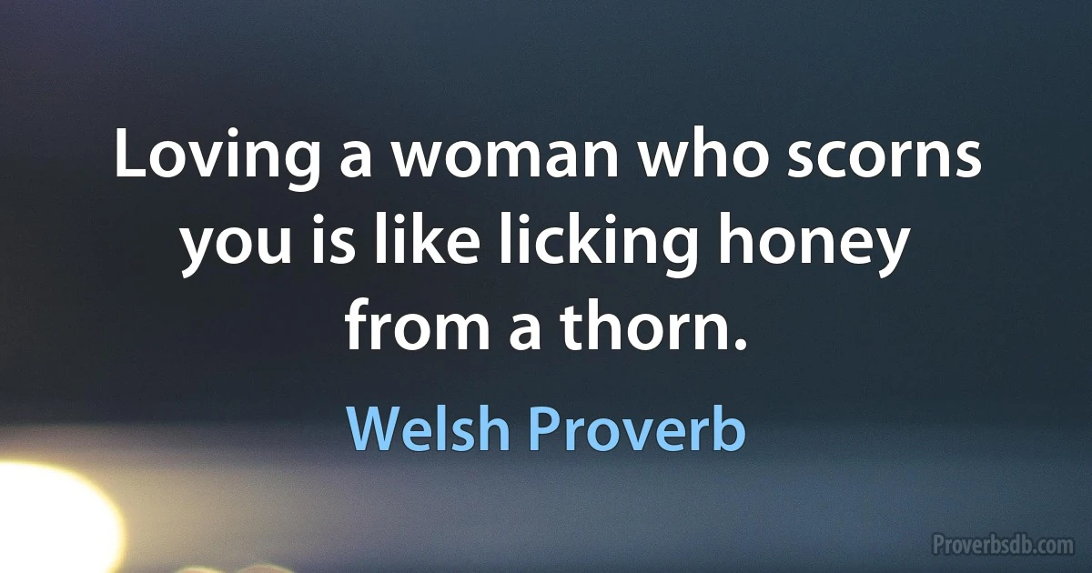 Loving a woman who scorns you is like licking honey from a thorn. (Welsh Proverb)