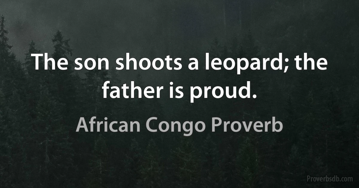 The son shoots a leopard; the father is proud. (African Congo Proverb)