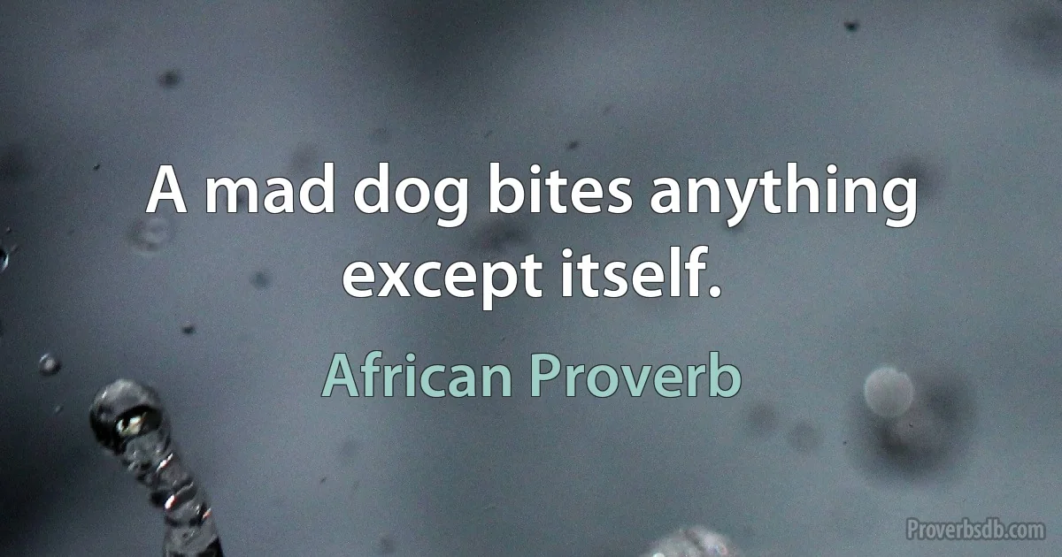 A mad dog bites anything except itself. (African Proverb)