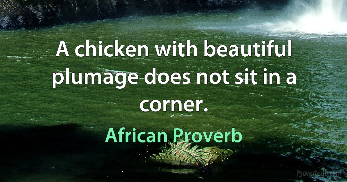 A chicken with beautiful plumage does not sit in a corner. (African Proverb)