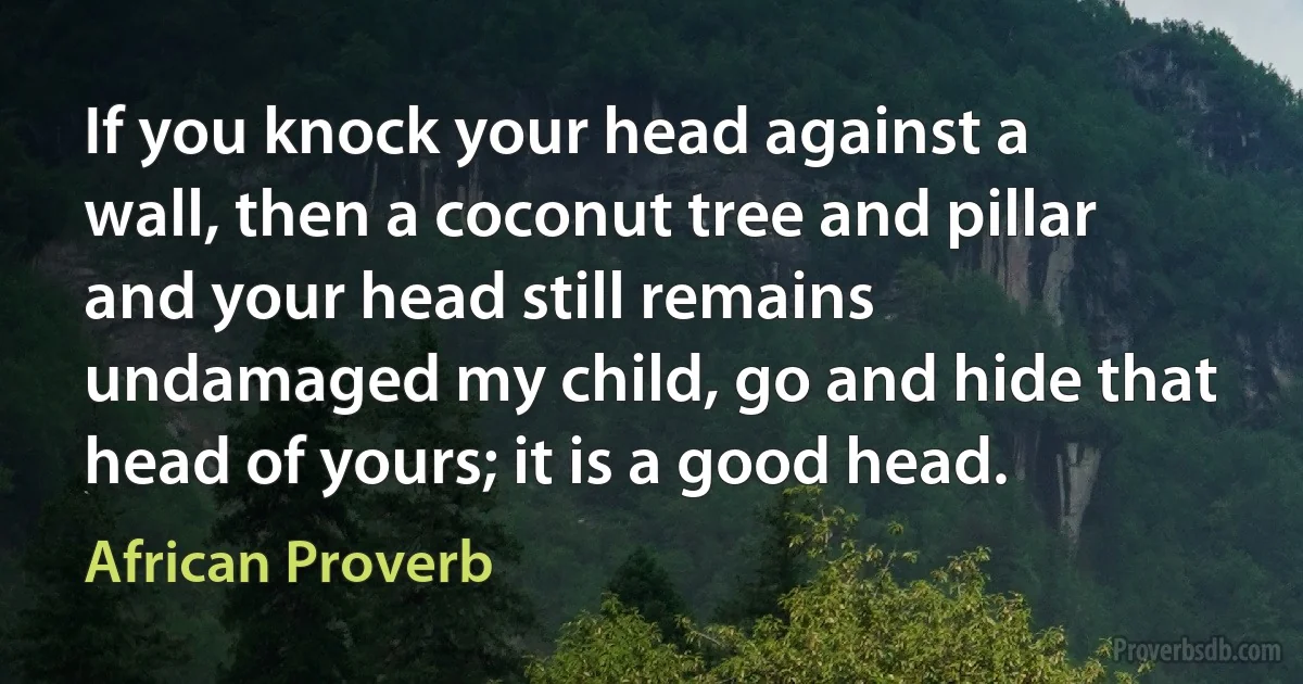 If you knock your head against a wall, then a coconut tree and pillar and your head still remains undamaged my child, go and hide that head of yours; it is a good head. (African Proverb)