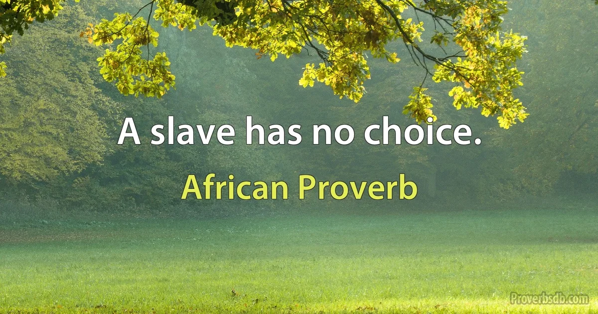 A slave has no choice. (African Proverb)