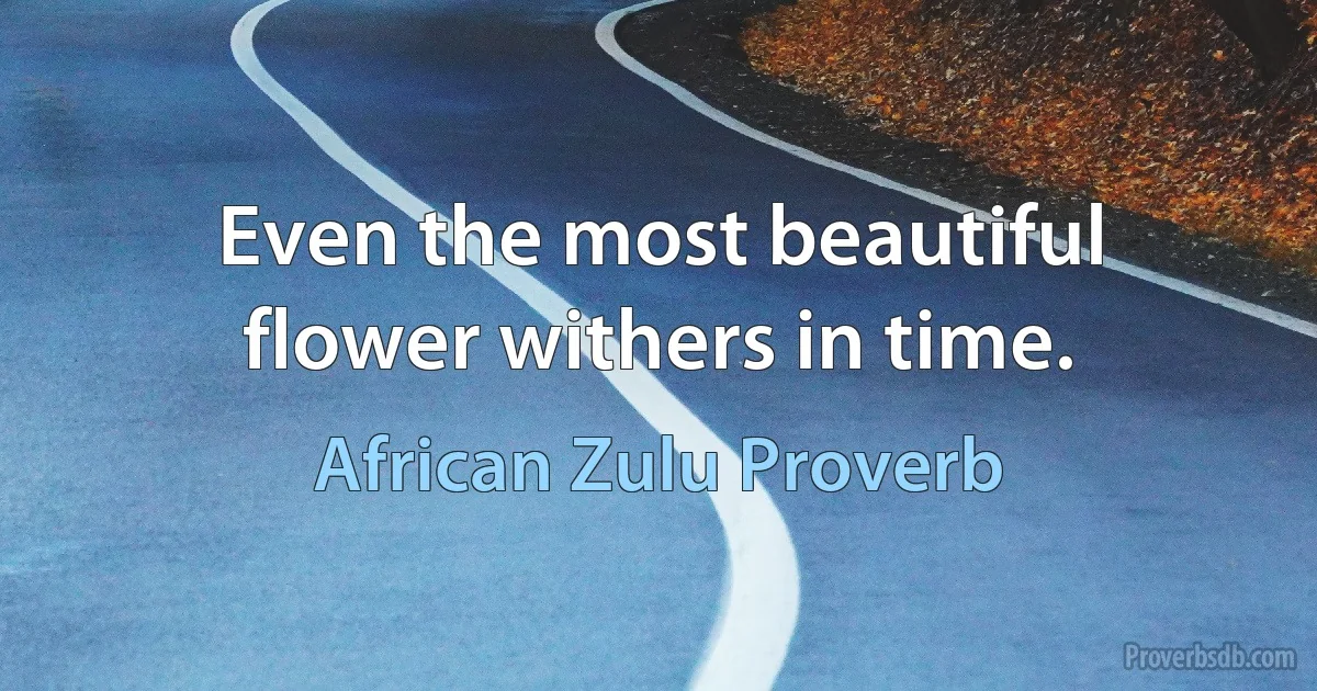 Even the most beautiful flower withers in time. (African Zulu Proverb)